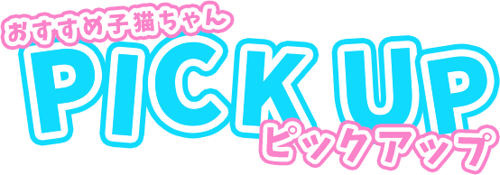 おすすめ子猫ちゃん ピックアップ 激安ハイコスパ風俗 渋谷素人ピストン学園 制服にゃんにゃん